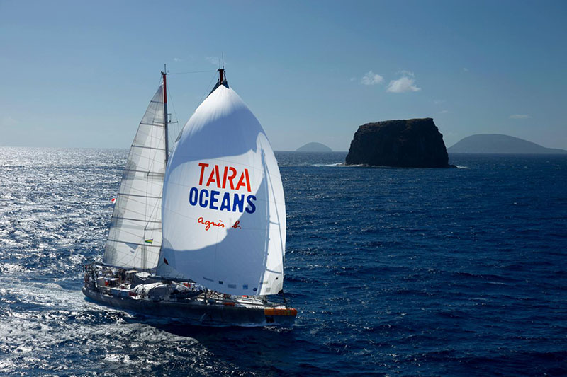 Imagen del velero Tara ( S.Bollet/Fundación Tara Ocean)