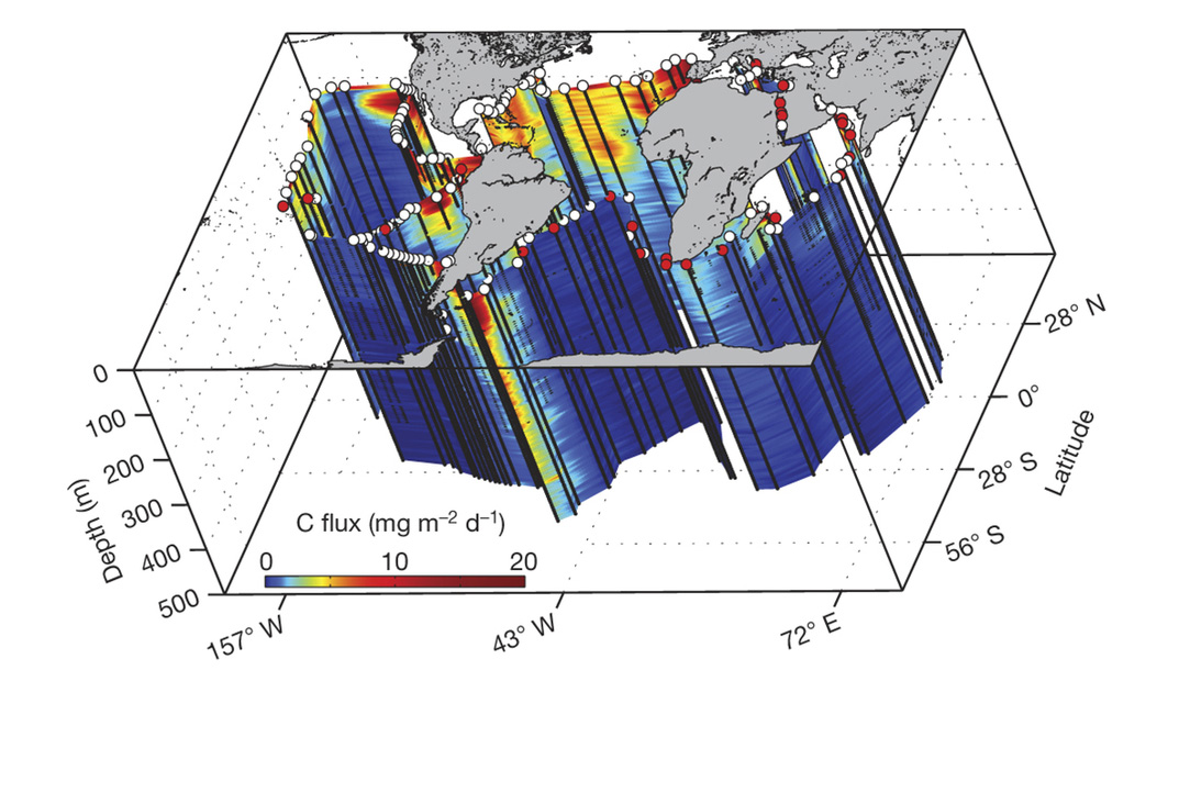 Visió global dels fluxos de carboni al llarg de la ruta de circumnavegació de l'expedició Tara Oceans, sent les zones vermelles les que tenen major flux i les blaves menys. El flux està estimat a partir de la distribució de les partícules per mida i abundància.