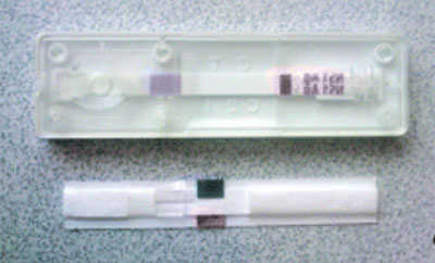 Prototip del paper reactiu amb cel·la de combustible.