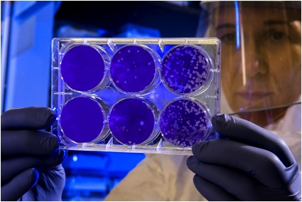 Una investigadora analitza un resultat de laboratori  (Unsplash)